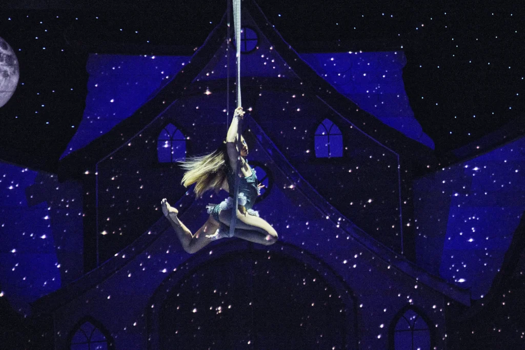 Lenguaje universal del circo